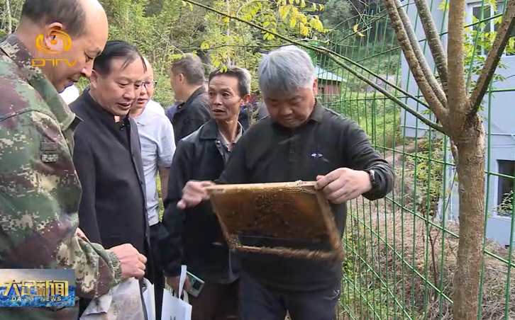 川渝40余名蜂农在高坪镇学养殖技术