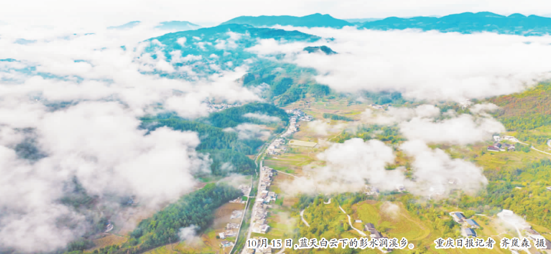 QQ20241022-091531.png