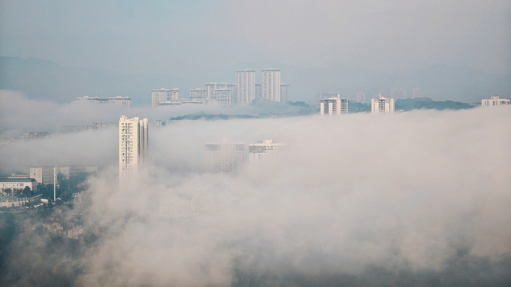 晨雾。网友“三”供图