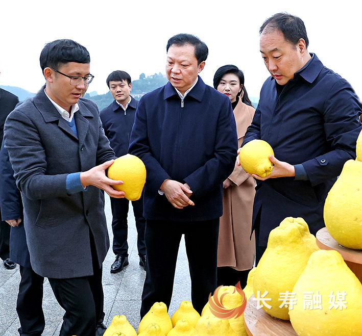 江夏调研乡村振兴工作时强调：学习运用“千万工程”经验，加快建设新时代巴渝和美乡村