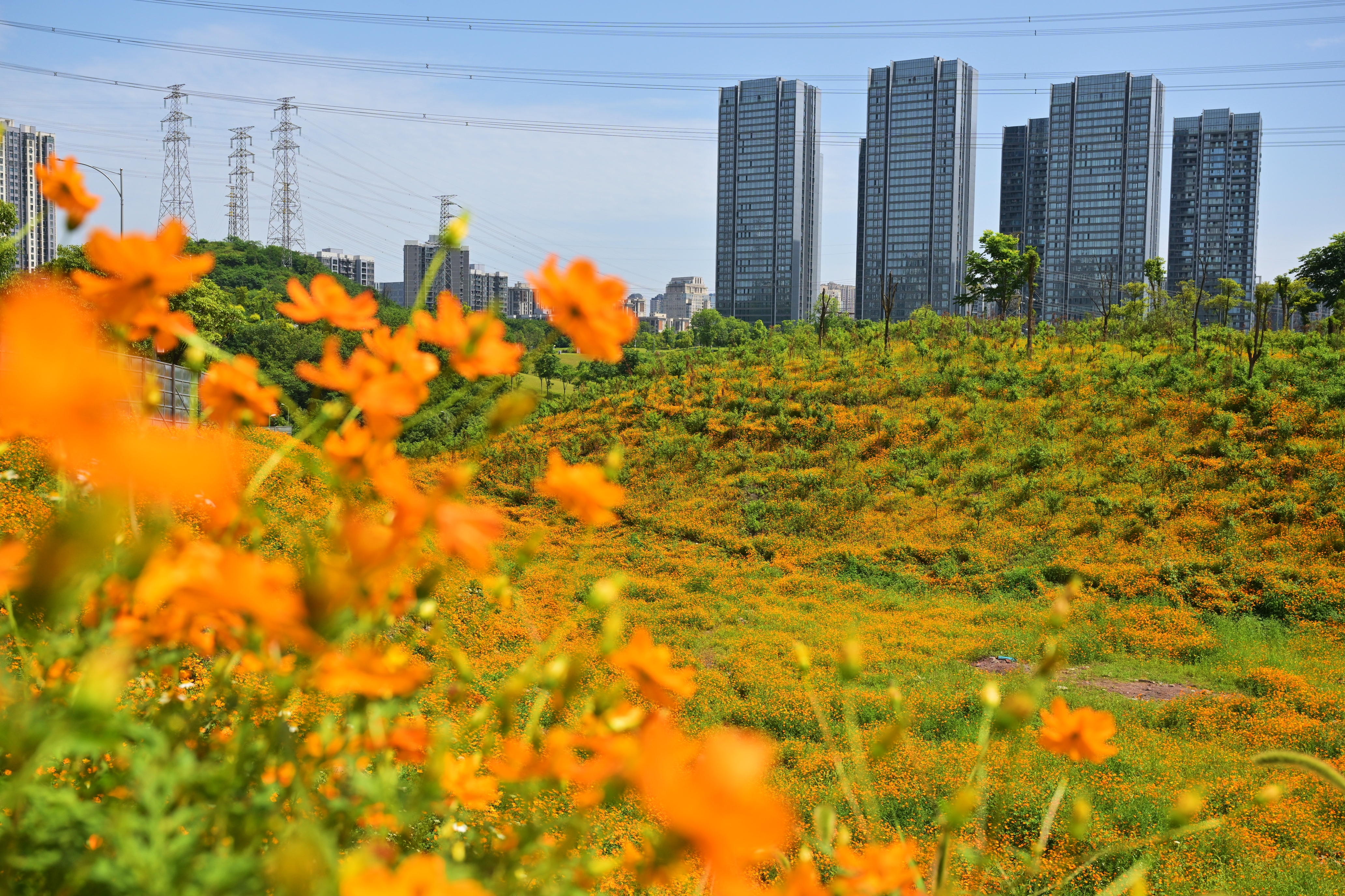 市容市貌焕然一新 曾经的荒坡变身休闲娱乐新去处