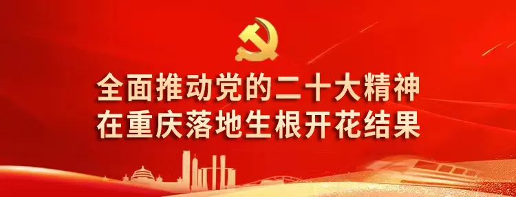 秀山县党政代表团来合考察 深化双方沟通交流 拓展合作广度深度 共同开创两地高质量发展新局面