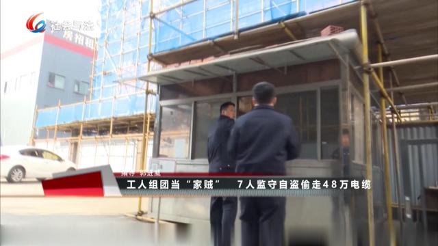 工人组团当“家贼” 7人监守自盗偷走48万电缆