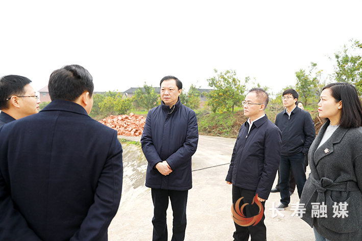 江夏调研街镇工作-八颗