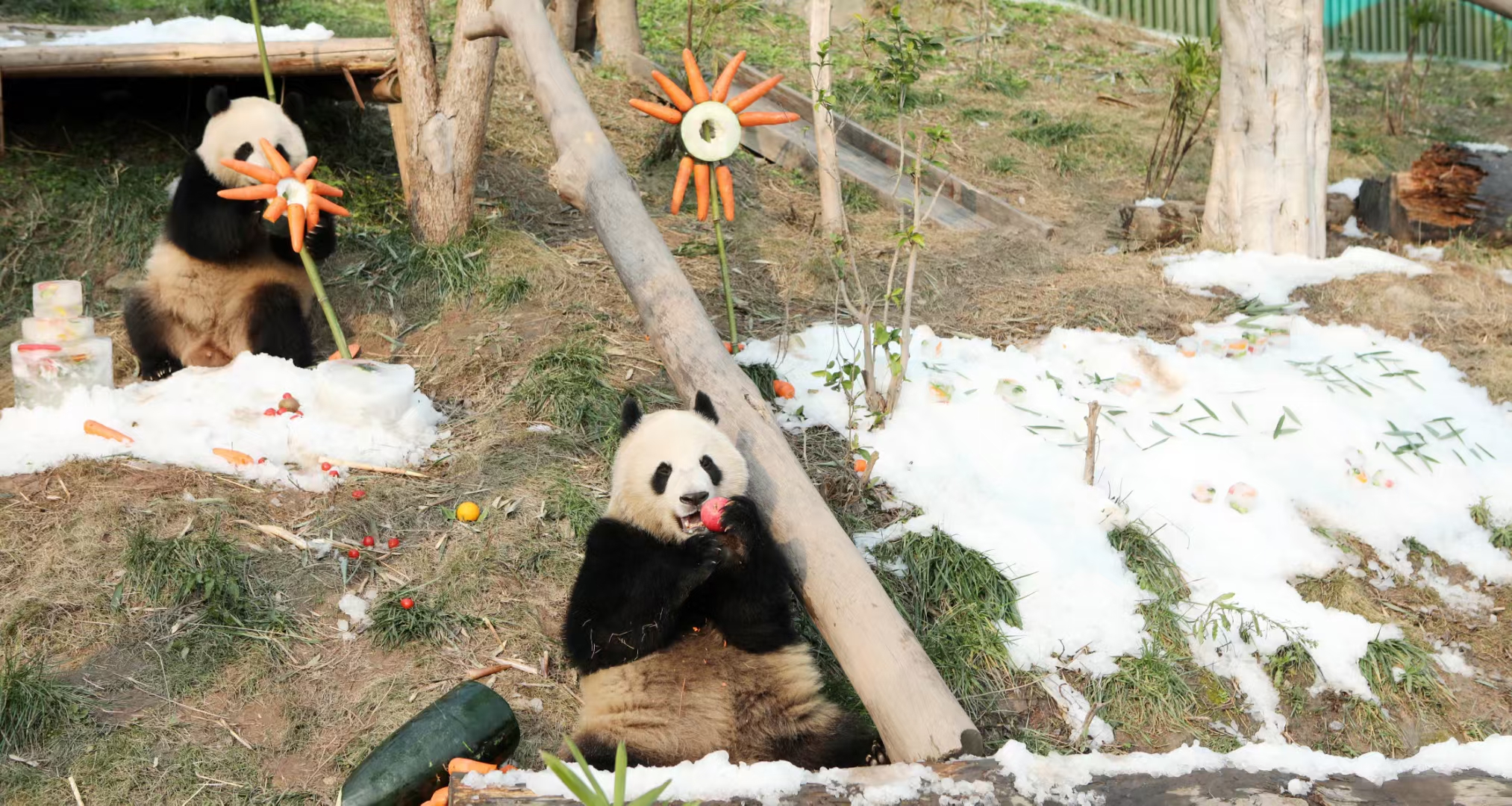 微信图片_20250101142004.jpg