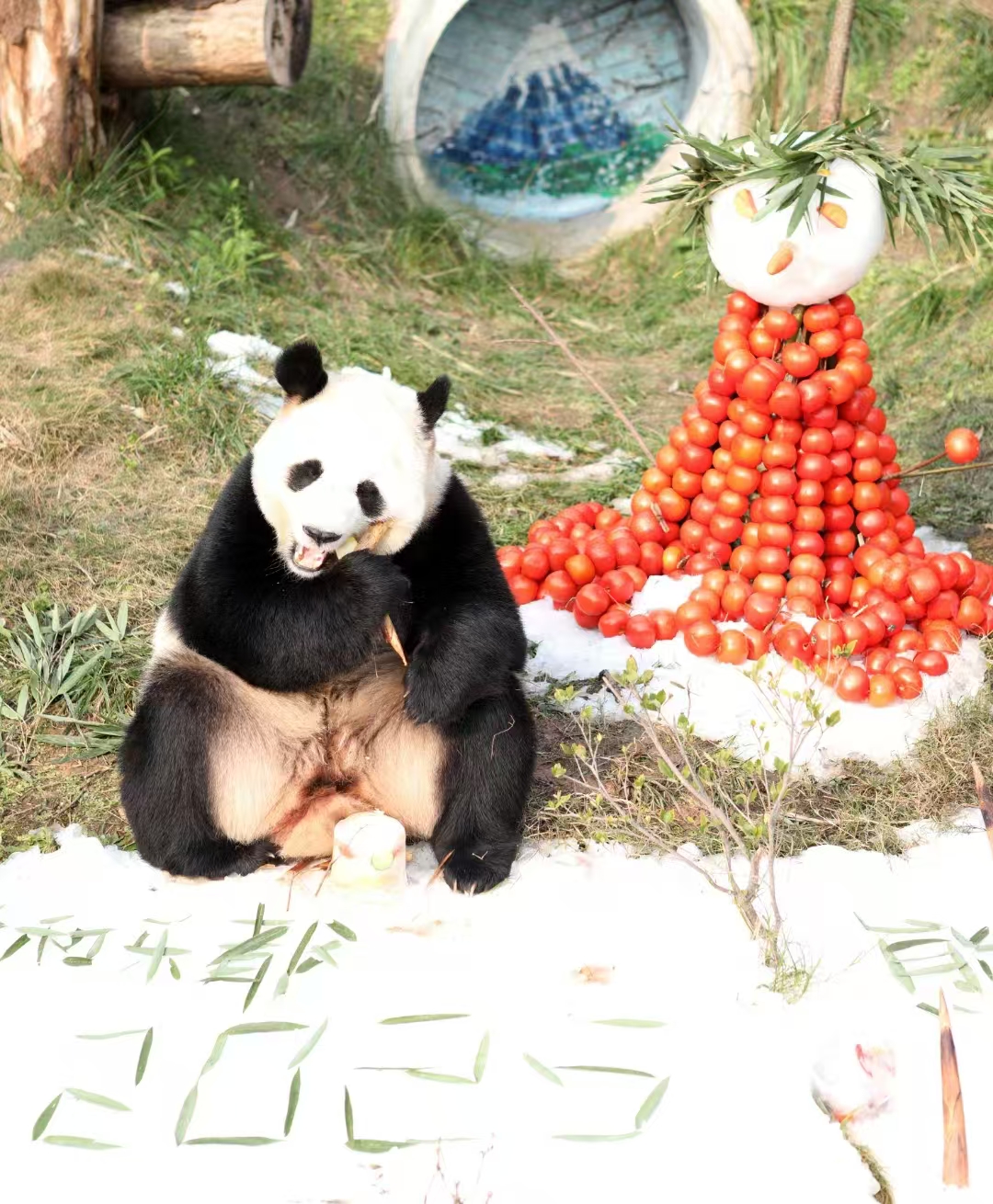 微信图片_20250101142011.jpg