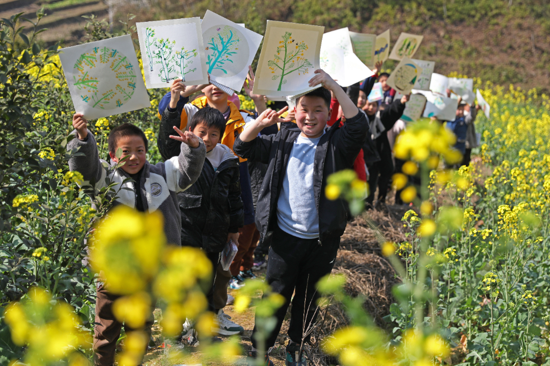 2024年3月11日，双龙乡小学校的孩子们正在油菜地里写生。.jpg