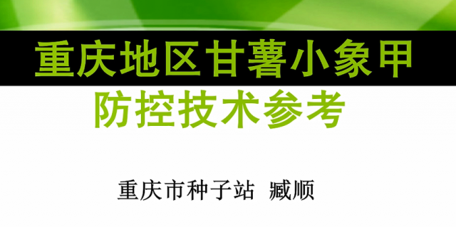 【农技慕课】重庆地区甘薯小象甲防控技术参考