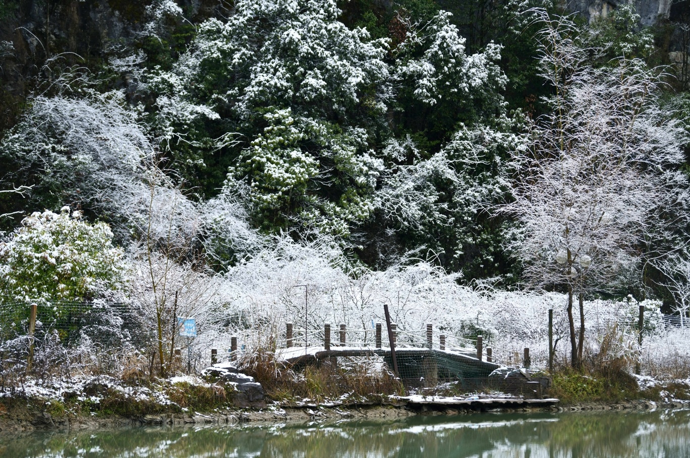 雪后的萬隆村，隨處定格都是一幅銀裝素裹的美麗畫卷。（攝影：郭又嘉）