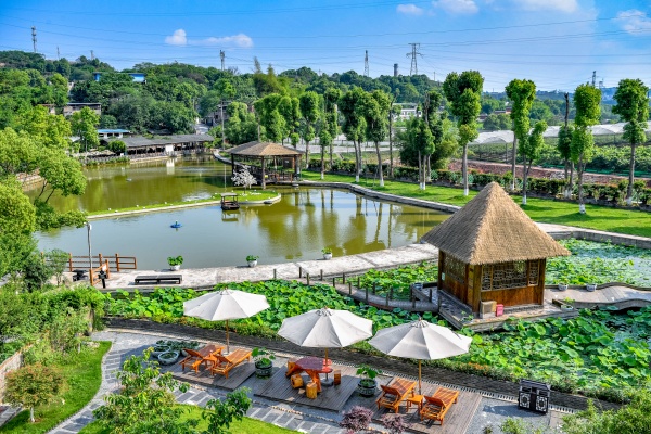 九龙坡陶家镇清栖谷。曹鸣鸥摄