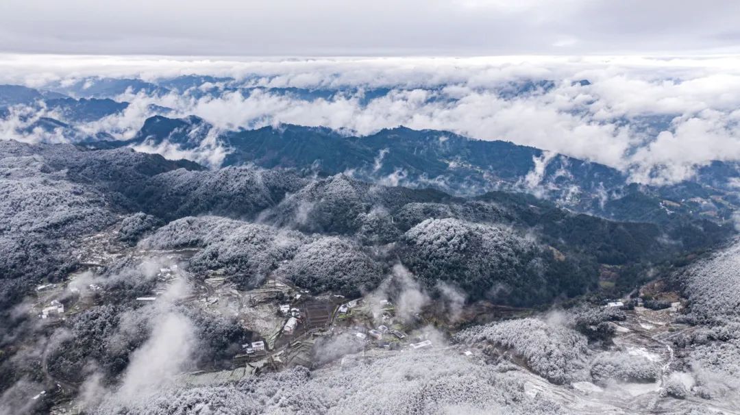 綦！江！下！雪！啦！