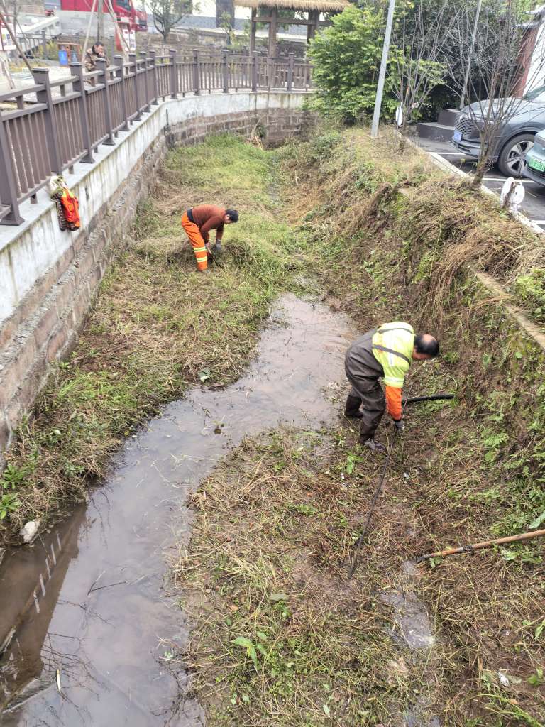 开展河道垃圾清理活动.jpg