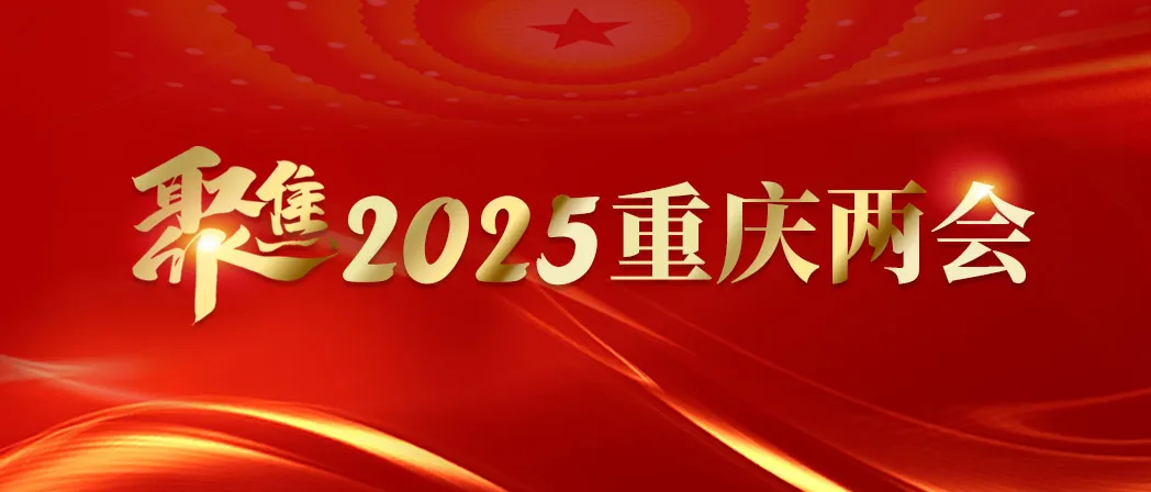 【聚焦2025重庆两会】市人大代表、涪陵区委书记黎勇：聚力再造一个“涪陵工业”