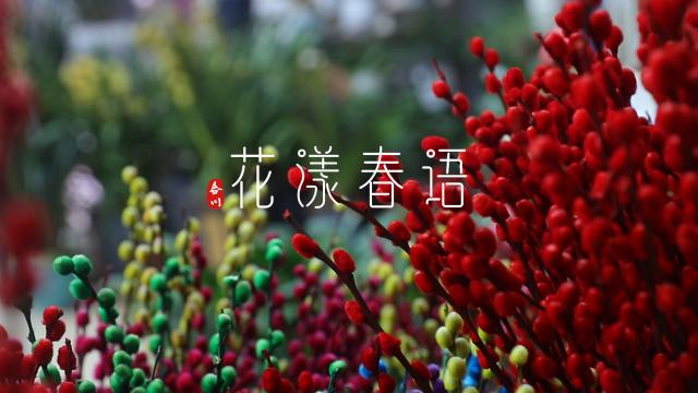 重庆合川：花漾春语