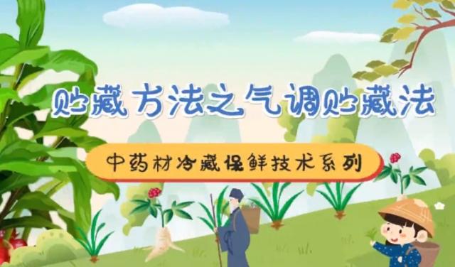 【农技短视频】中药材冷藏保鲜技术系列——贮藏方法之气调贮藏法