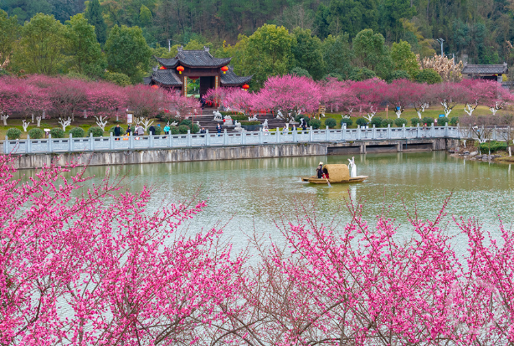 春色| 上游主题摄影征稿作品展——罗川作品