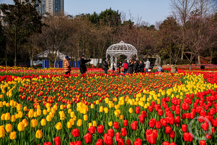 春色 | 上游主题摄影征稿作品展——刘方华作品