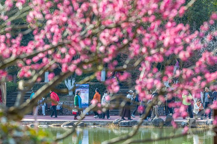 春色｜上游主题摄影征稿作品展——瞿明斌作品