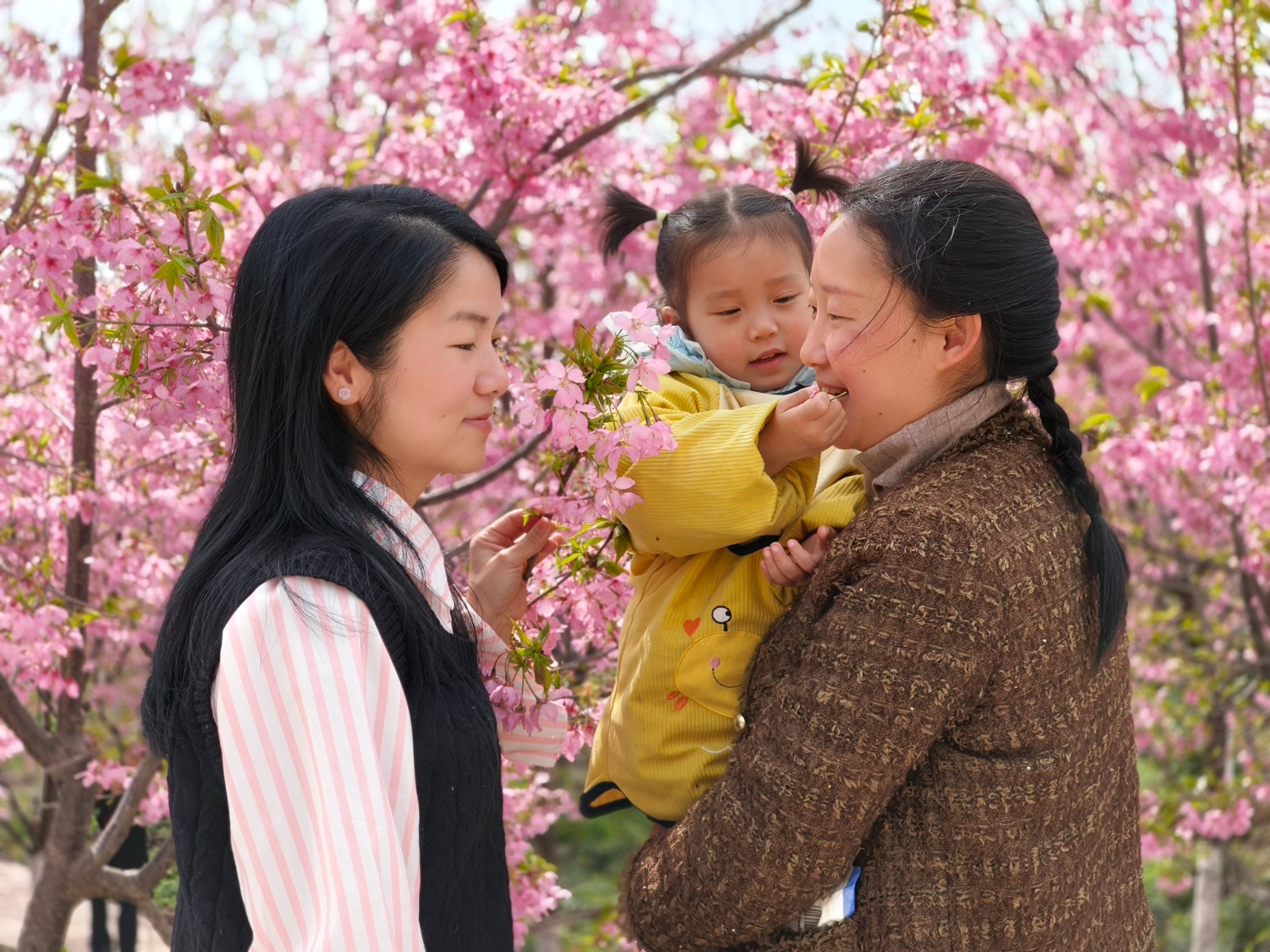 女同胞们在花下合影，快乐过节。拍摄：张耀升2.jpg