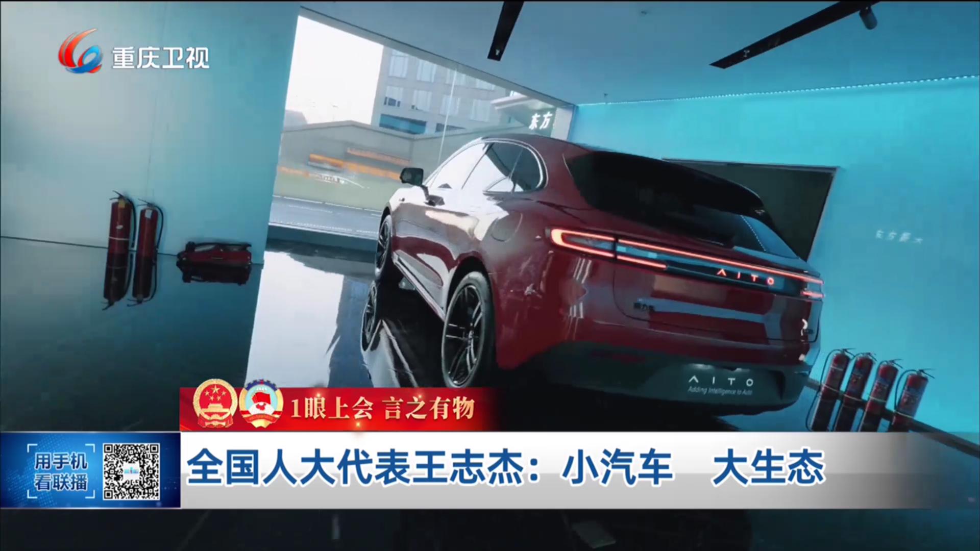 全国人大代表王志杰：小汽车 大生态