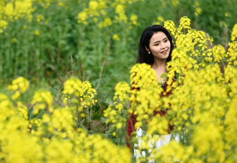 重庆铜梁：高垭村油菜花海 乡村振兴的“金色名片”