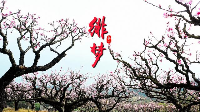 重庆合川：绯梦