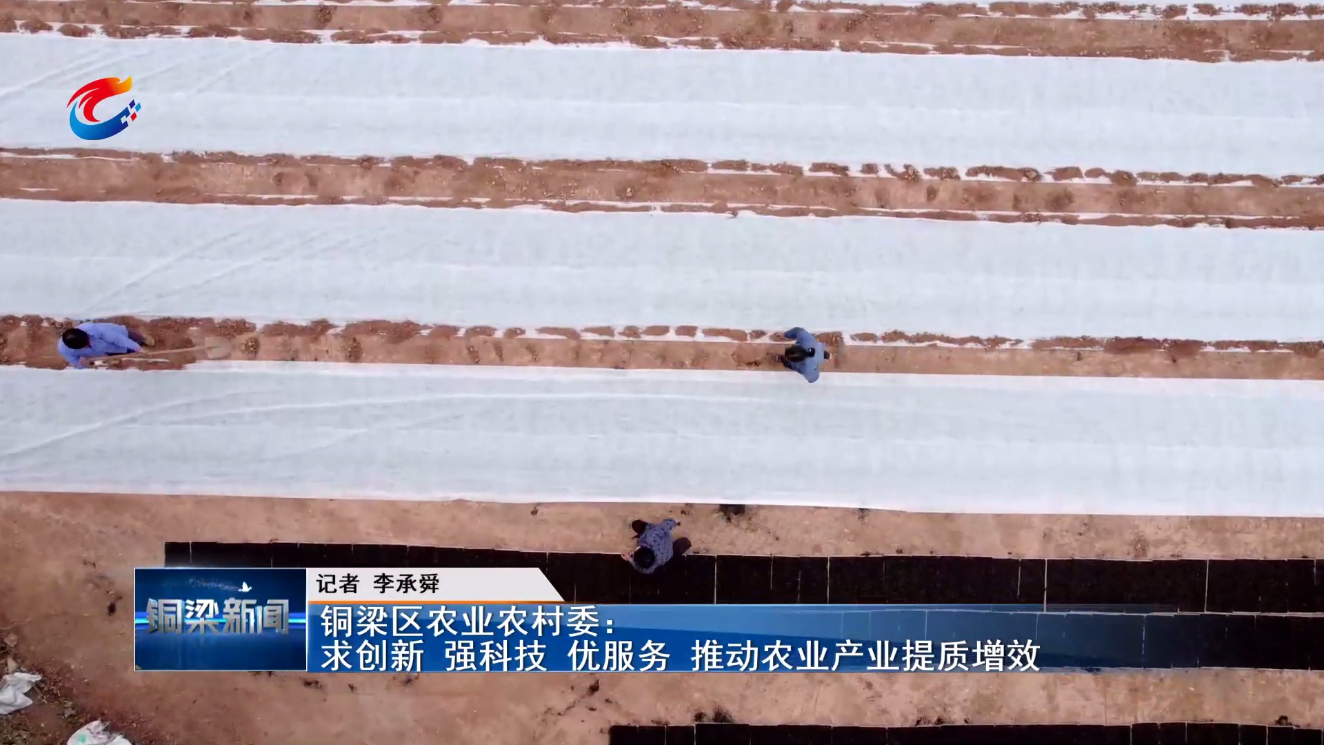 铜梁区农业农村委：求创新 强科技 优服务 推动农业产业提质增效
