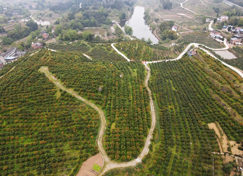 DJI_0142