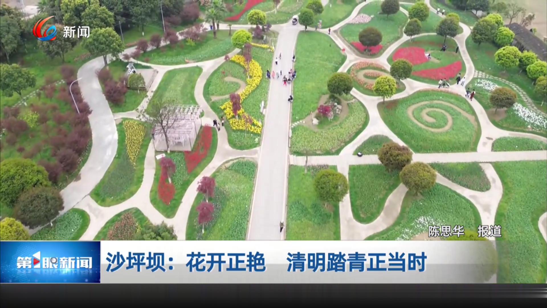 沙坪坝：花开正艳 清明踏青正当时