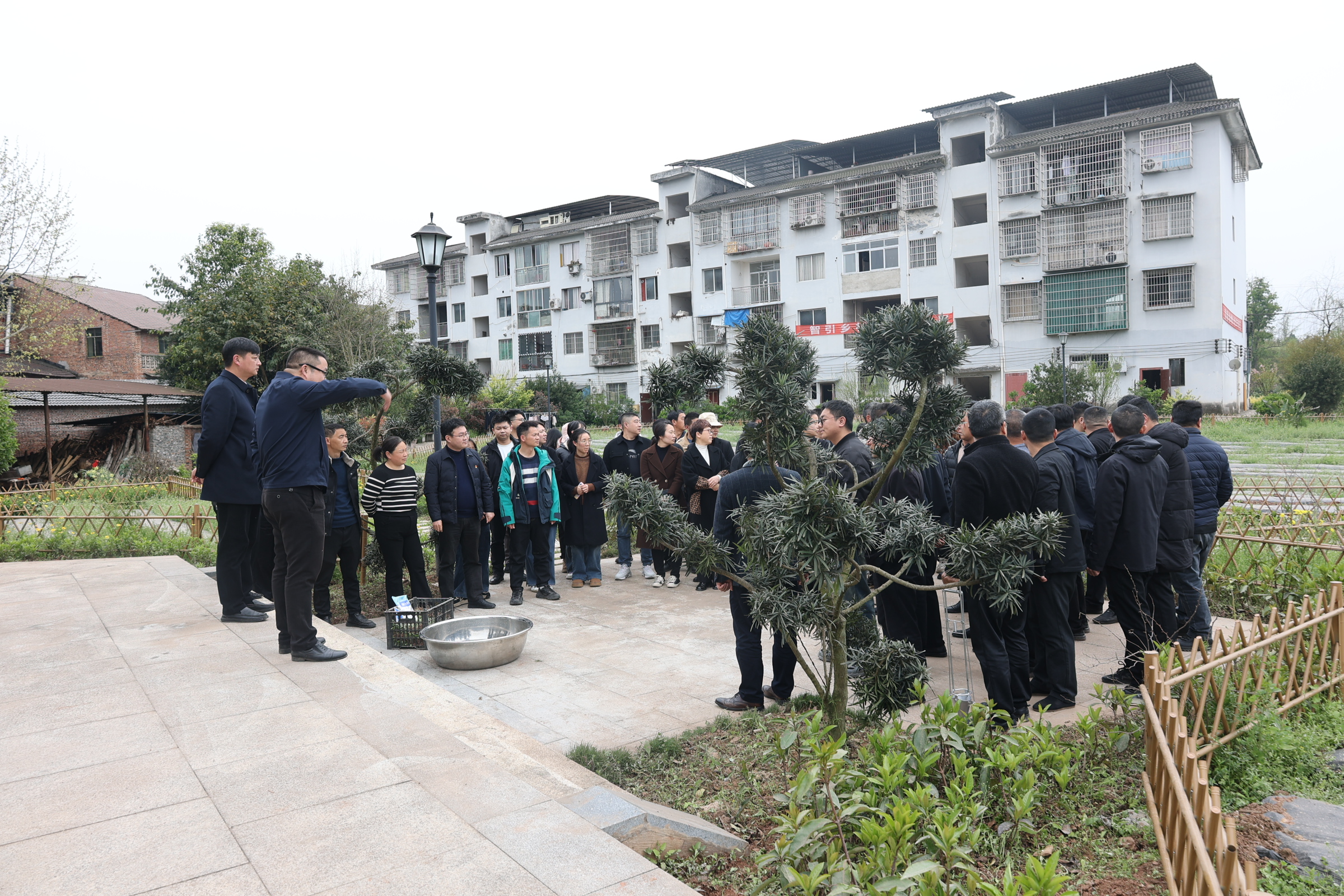 微信图片_20250407154414.jpg
