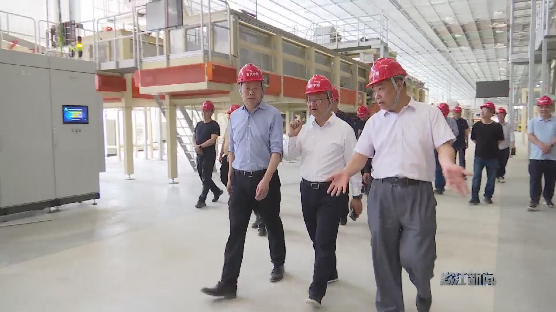 罗成调研督导 “十大战役” 重点项目建设