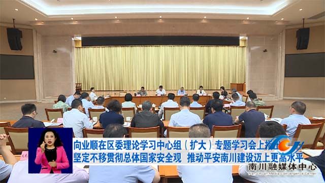 向业顺在区委理论学习中心组（扩大）专题学习会上指出 坚定不移贯彻总体国家安全观 推动平安南川建设迈上更高水平