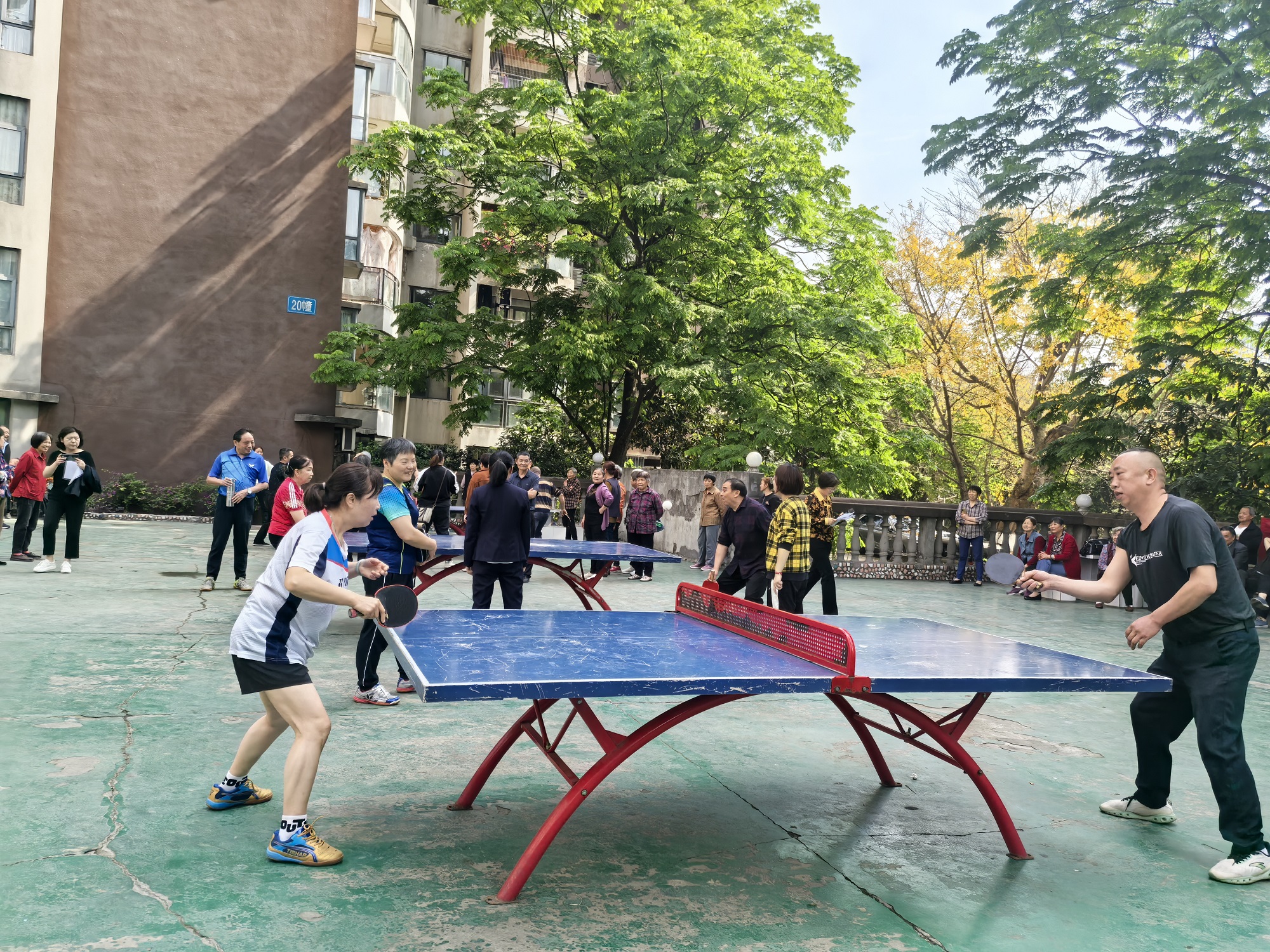 “乒”出精彩 共庆五一 2025年龙洲湾街道梅家梁社区乒乓球比赛活动
