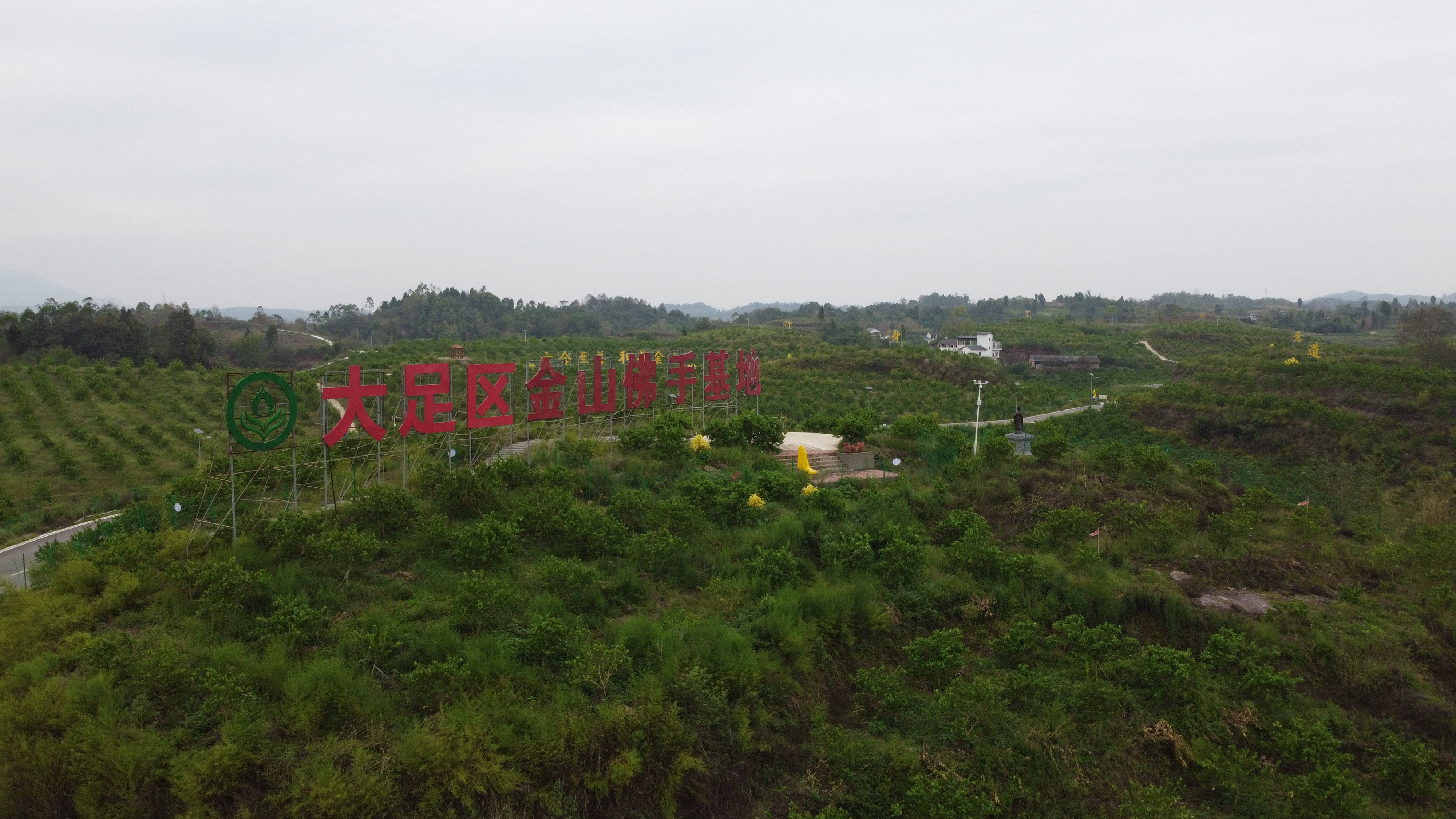 大足金山镇佛手体验园.JPG