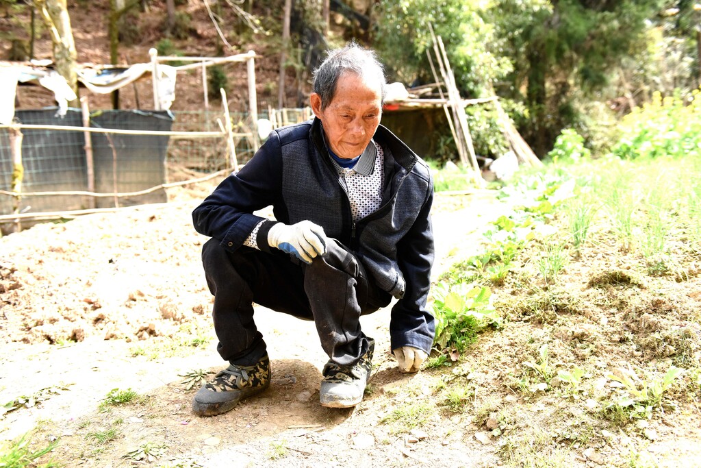 唐永发用小木墩支撑着匐地而行