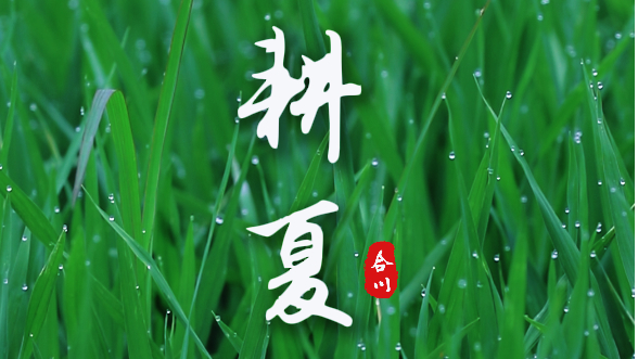 重庆合川：耕夏