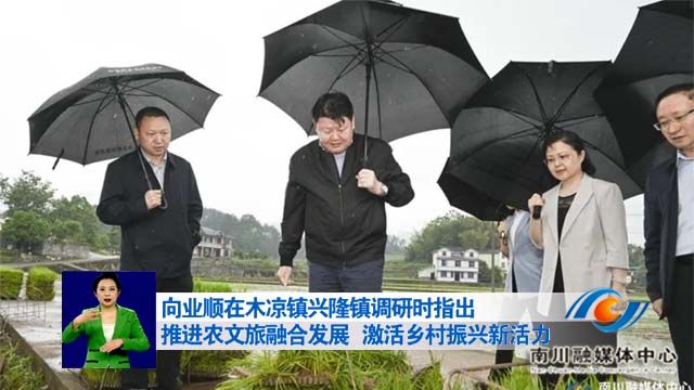 向业顺在木凉镇兴隆镇调研时指出 推进农文旅融合发展 激活乡村振兴新活力