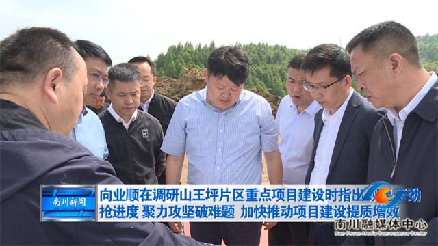向业顺在调研山王坪片区重点项目建设时指出 铆足干劲抢进度 聚力攻坚破难题 加快推动项目建设提质增效