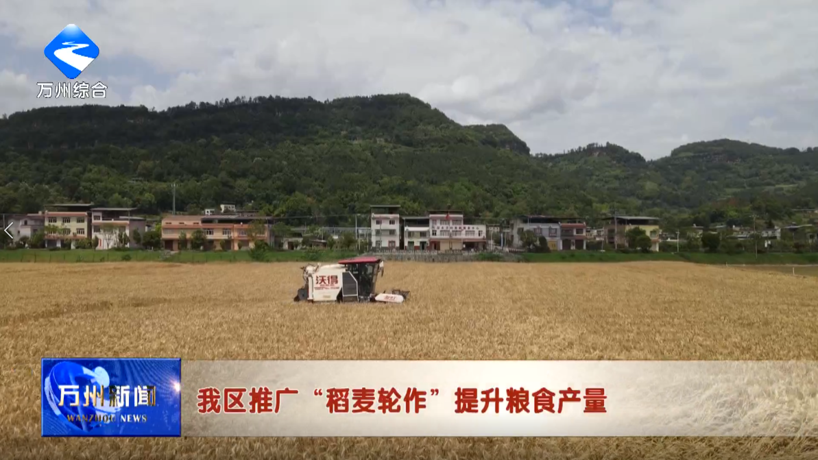 我区推广“稻麦轮作”提升粮食产量