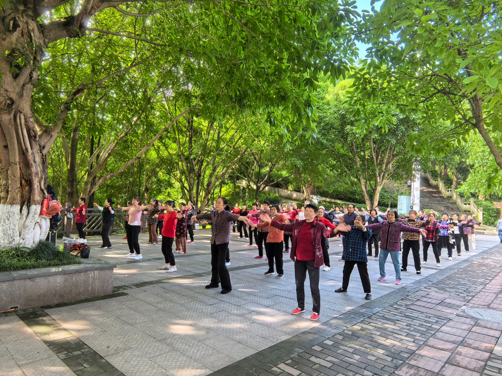 廣場(chǎng)舞隊(duì)伍隨音樂舞蹈。嚴(yán)皓溢 攝.jpg