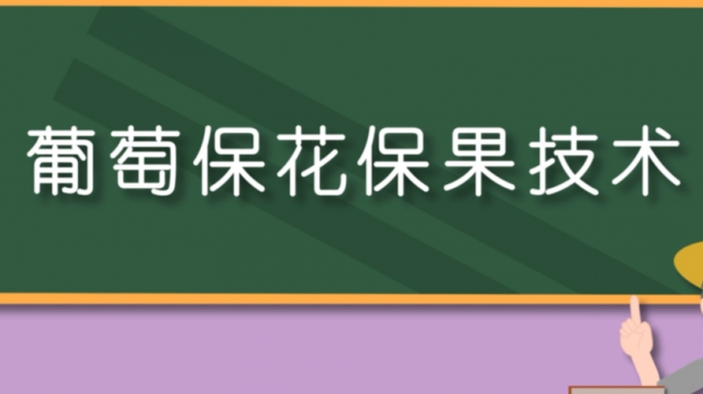 葡萄保花保果技术