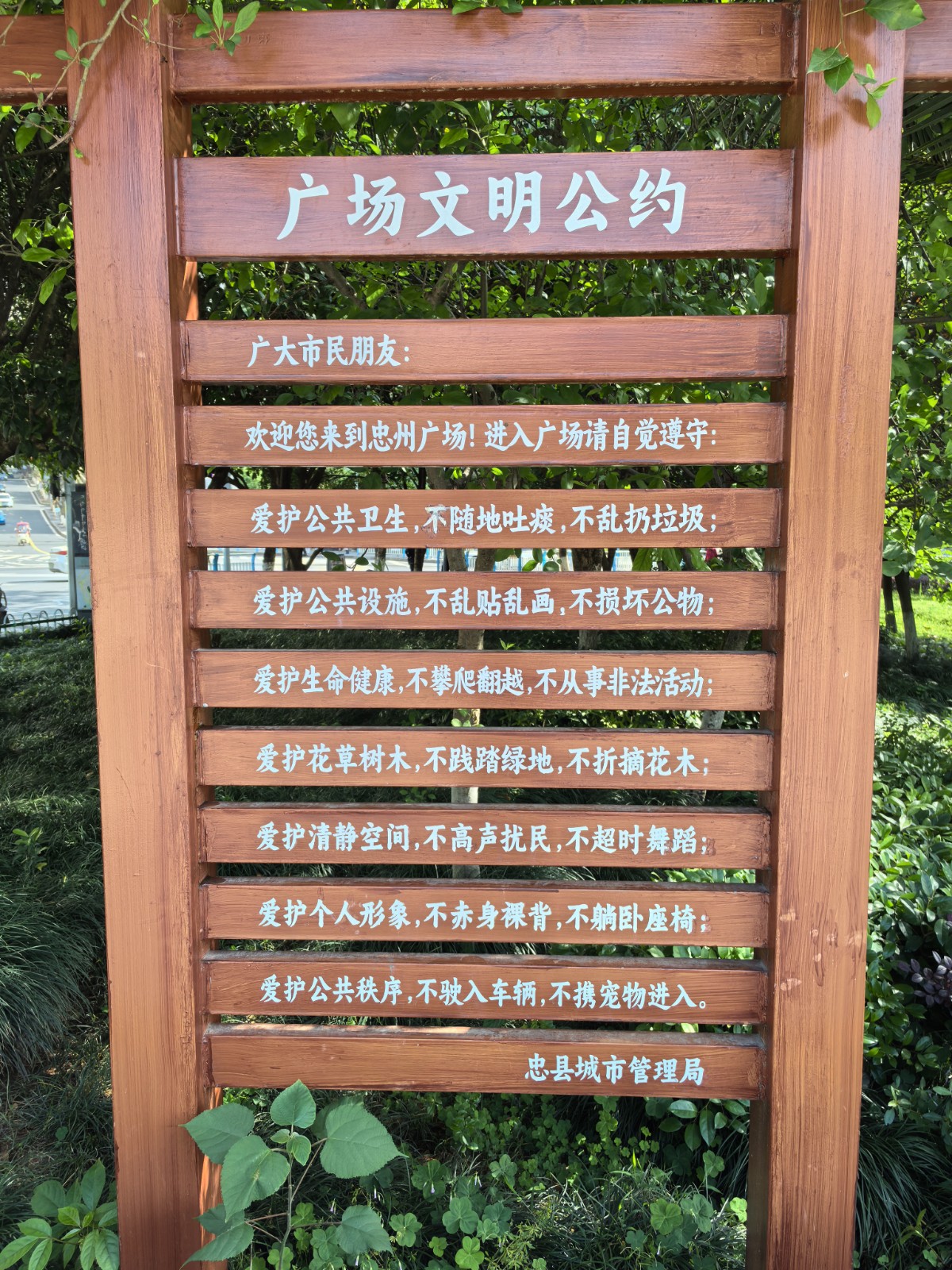 廣場(chǎng)公約。嚴(yán)皓溢 攝.jpg