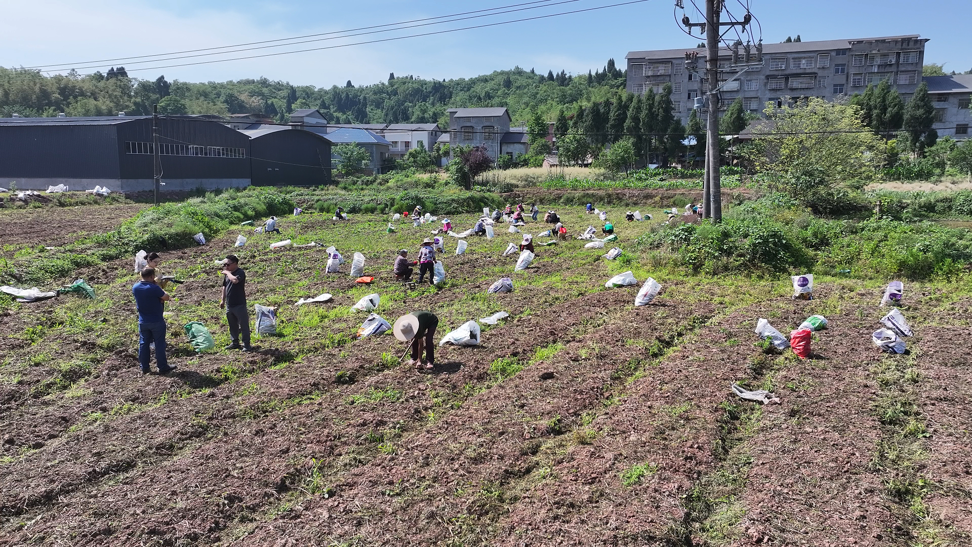 铁山1.jpg
