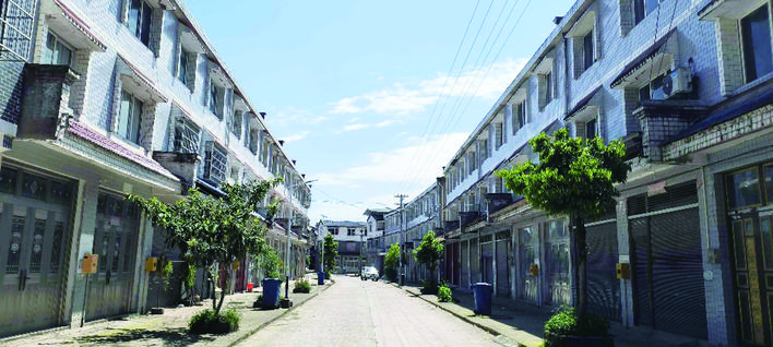 金叶铺就致富路 灯火点亮振兴图