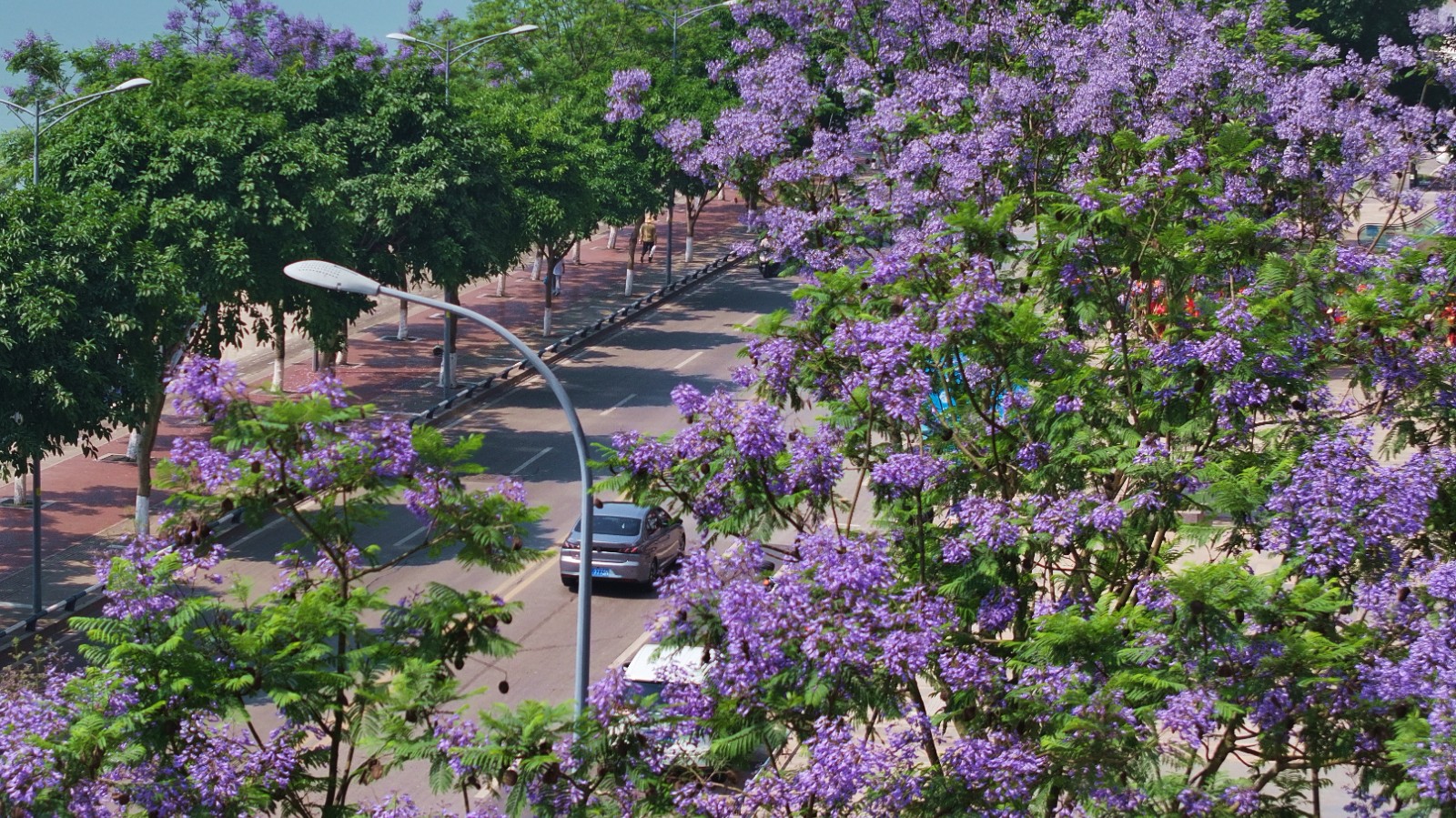 DJI_20250520102913_0226_D.JPG