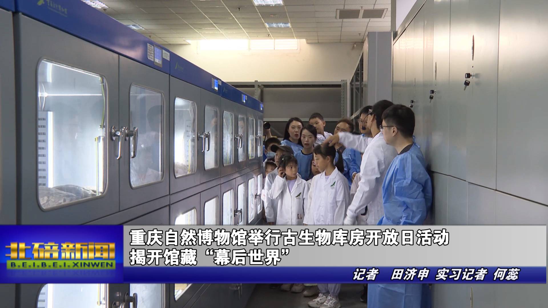 重庆自然博物馆举行古生物库房开放日活动 揭开馆藏“幕后世界”