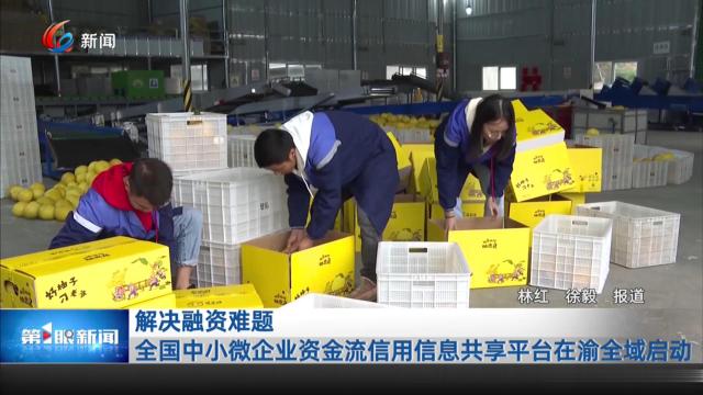 解决融资难题 全国中小微企业资金流信用信息共享平台在渝全域启动