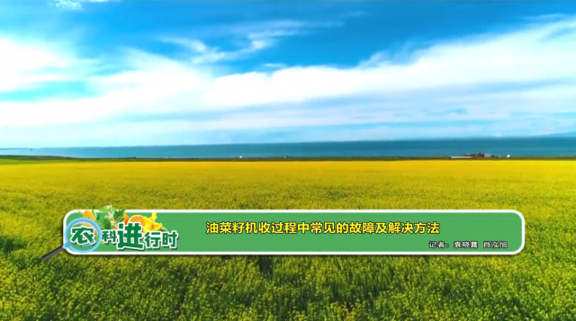 【农科进行时】油菜籽机收过程中常见的故障及解决方法