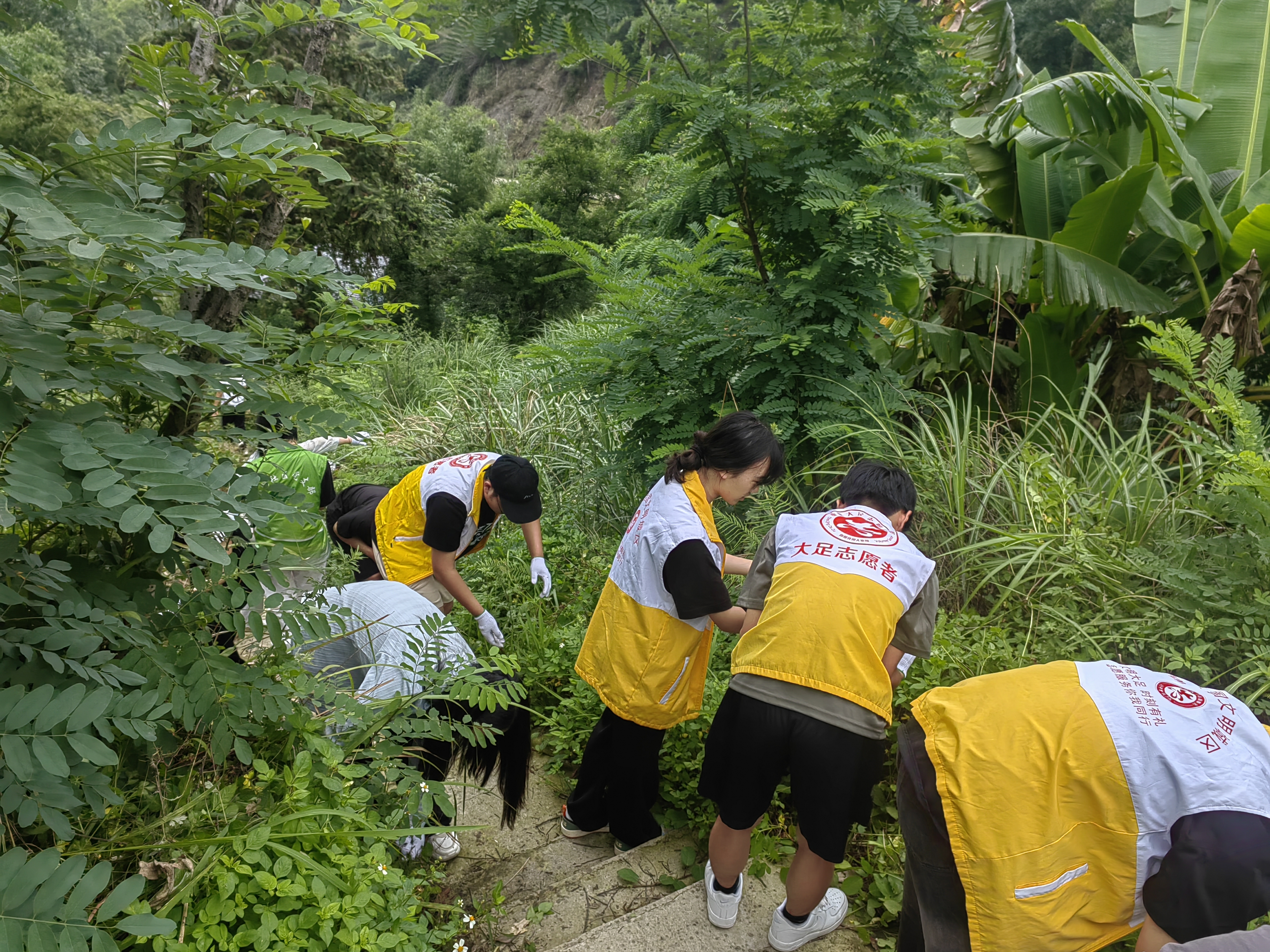 通桥街道山湖社区新时代文明实践站联合高校志愿者为深山独居老人开辟“暖心通道”