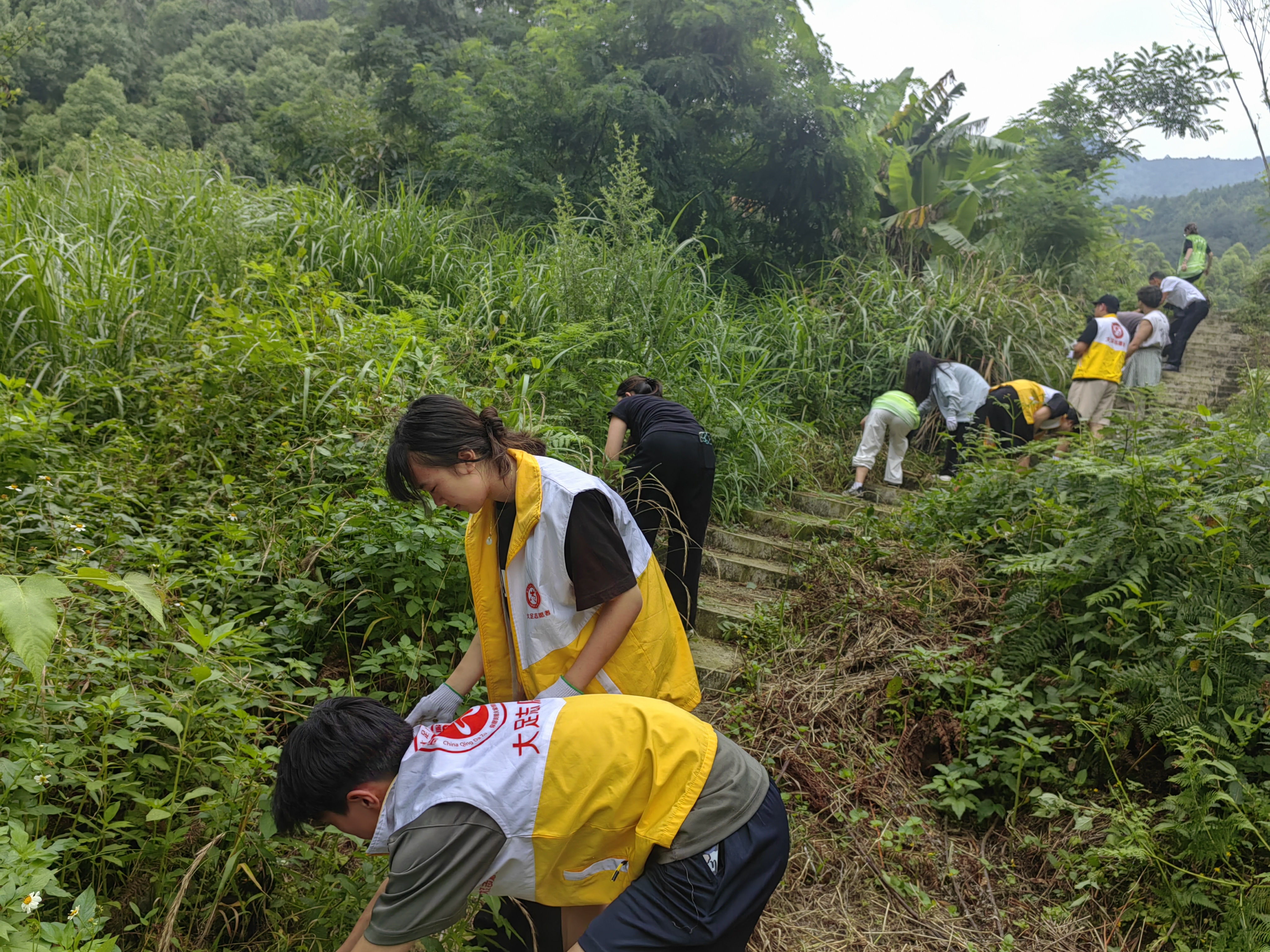 IMG_20250606_151628.jpg